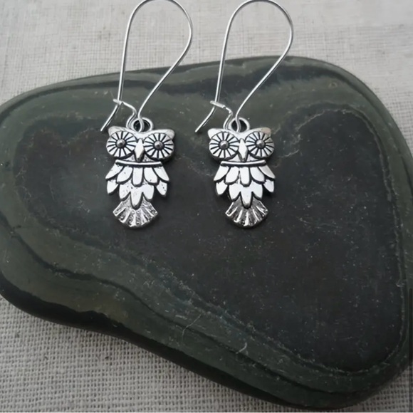 Support your host Silver Owl Drop Antiqued Dangle Boho Chic Earrings Jewelry - Picture 4 of 4